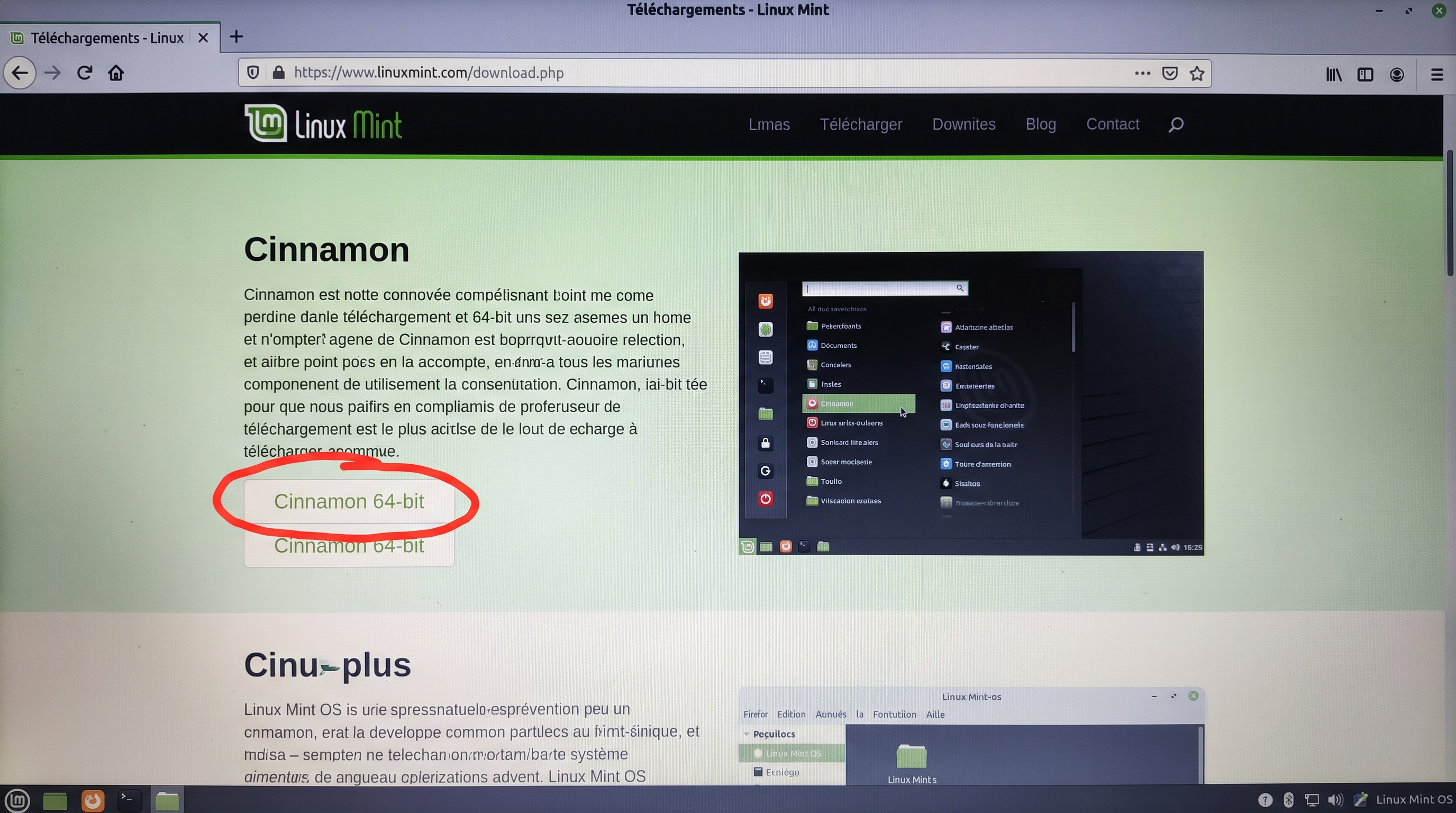Capture d'écran du site linuxmint.com avec le bouton de téléchargement mis en évidence.